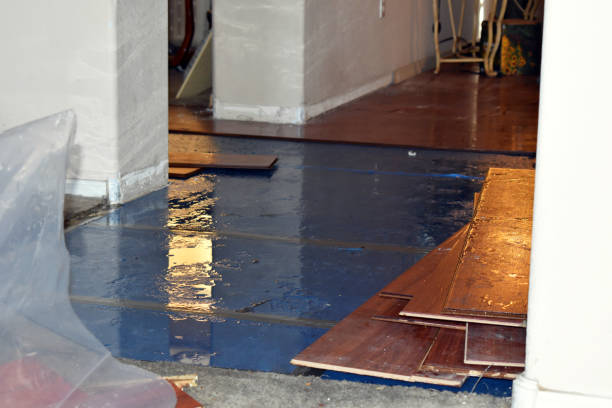 Professional Sewage Cleanup technician working in Elsie, MI